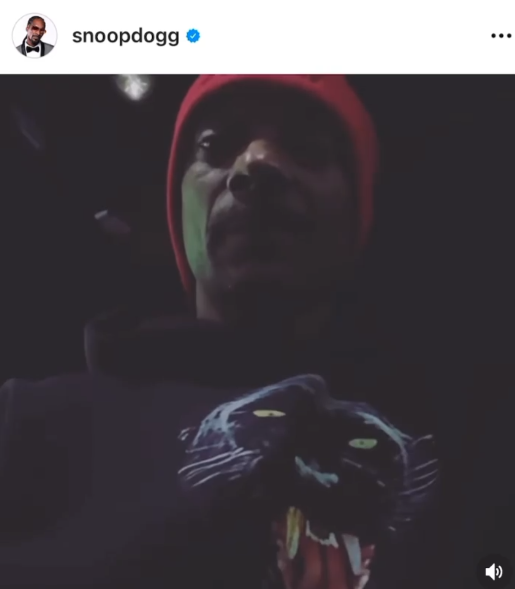 LL Cool J x CLONEY Hoodie EXCLUSIVE Panther | size XXL